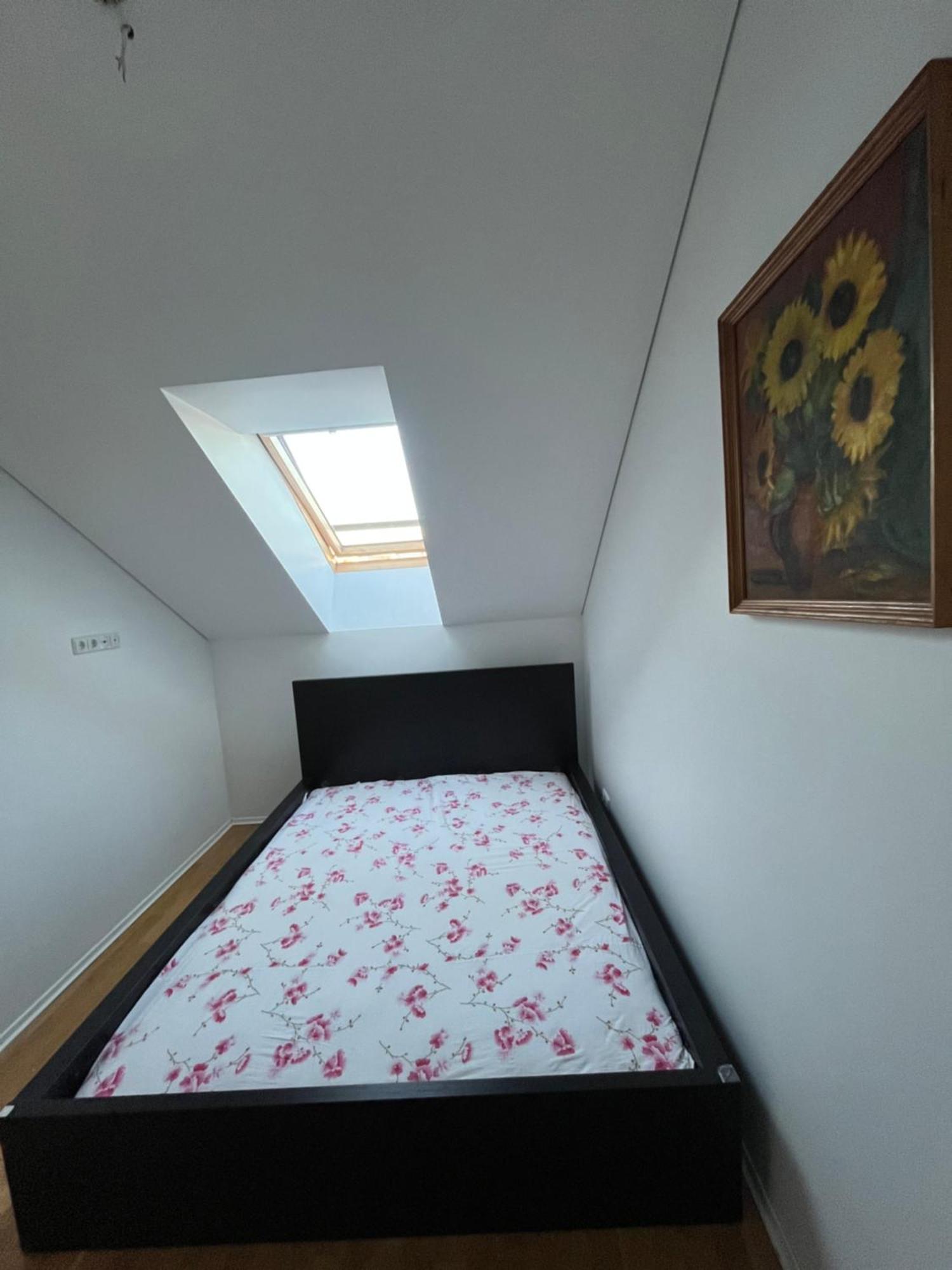 Misko Apartaments 考纳斯 外观 照片